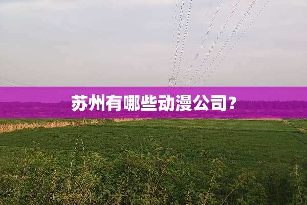 苏州有哪些动漫公司？