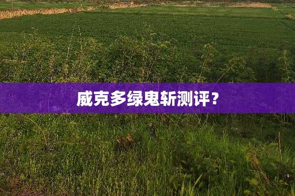 威克多绿鬼斩测评？