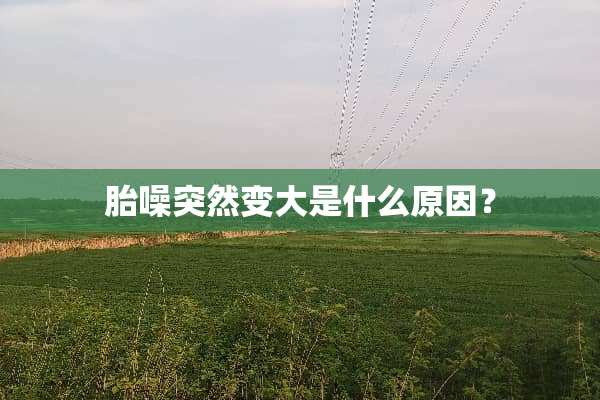 胎噪突然变大是什么原因？