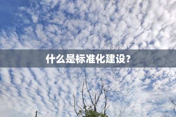 什么是标准化建设？