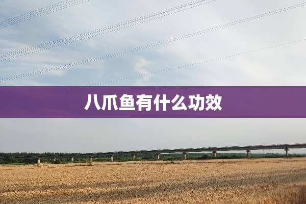 八爪鱼有什么功效