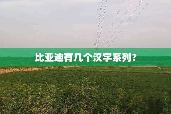 比亚迪有几个汉字系列？
