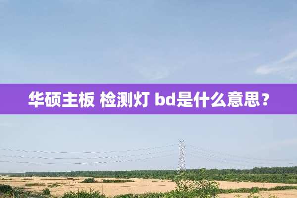 华硕主板 检测灯 bd是什么意思？