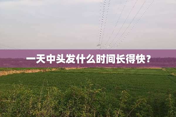 一天中头发什么时间长得快？