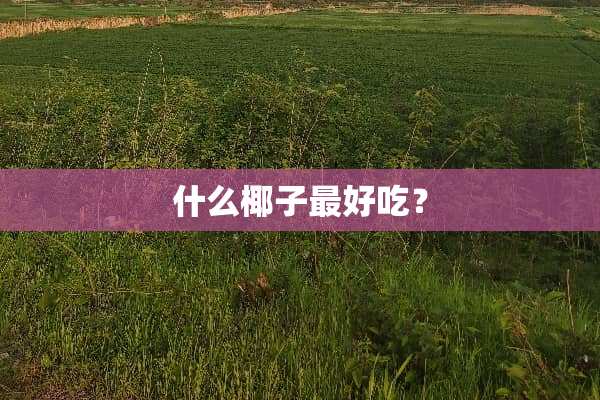 什么椰子最好吃？