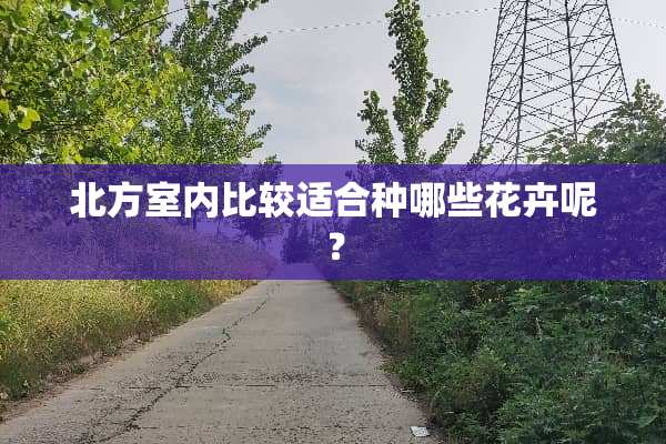 北方室内比较适合种哪些花卉呢？