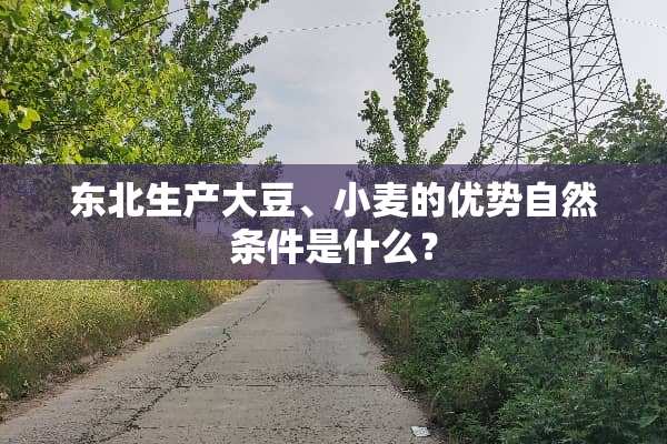 东北生产大豆、小麦的优势自然条件是什么？