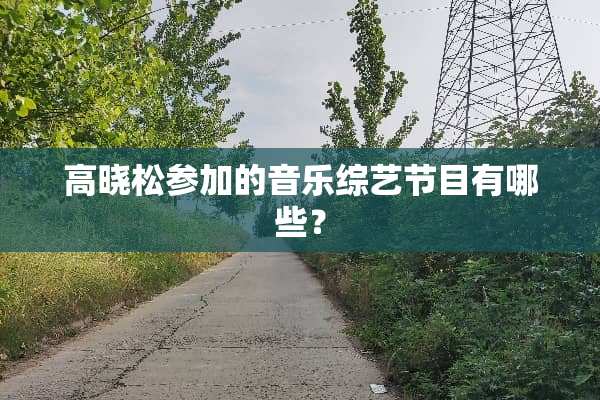 高晓松参加的音乐综艺节目有哪些？