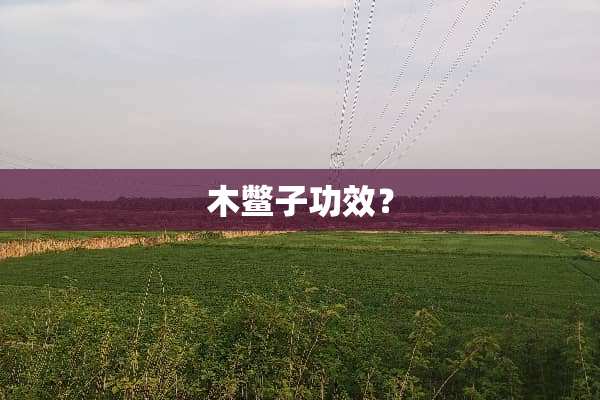 木鳖子功效？