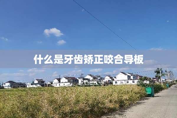 什么是牙齿矫正咬合导板