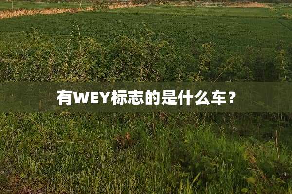 有WEY标志的是什么车？