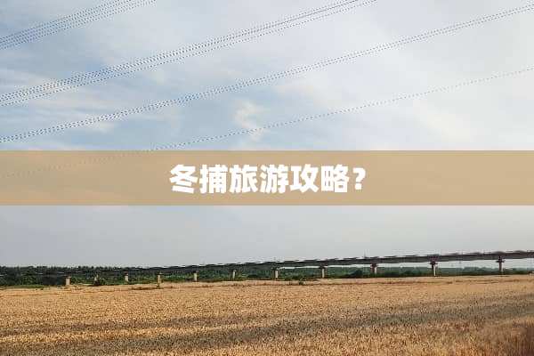 冬捕旅游攻略？