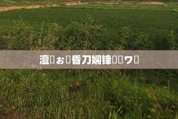 澶忓ぉ鍘昏刀娴锋敾鐣ワ紵