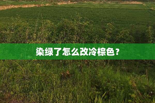 染绿了怎么改冷棕色？