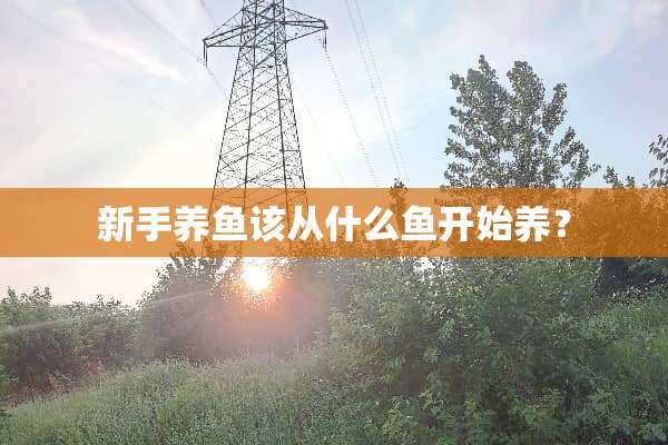 新手养鱼该从什么鱼开始养？