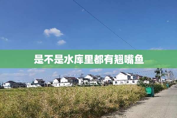 是不是水库里都有翘嘴鱼