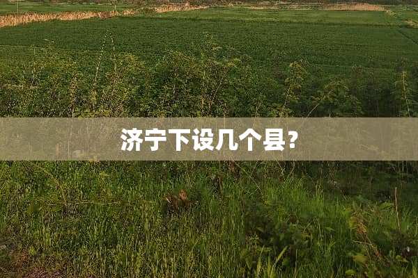 济宁下设几个县？