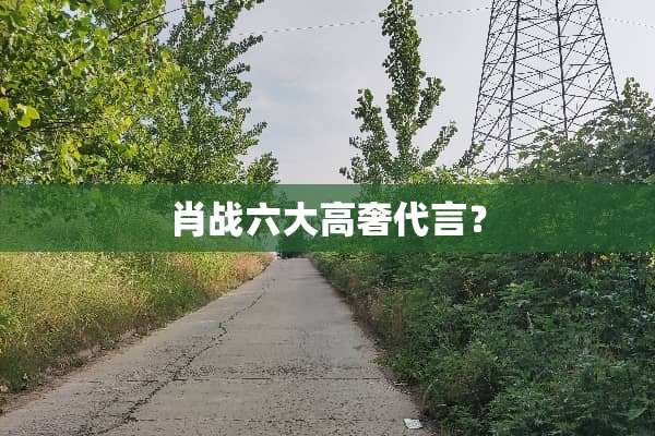 肖战六大高奢代言？