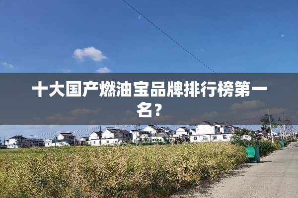 十大国产燃油宝品牌排行榜第一名？