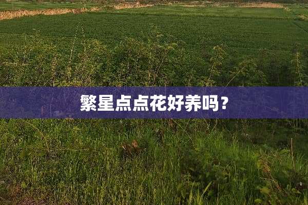 繁星点点花好养吗？