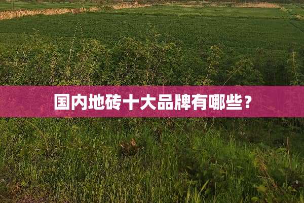 国内地砖十大品牌有哪些？