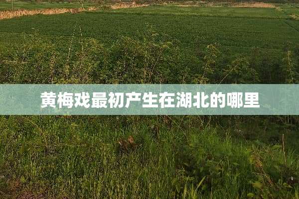 黄梅戏最初产生在湖北的哪里