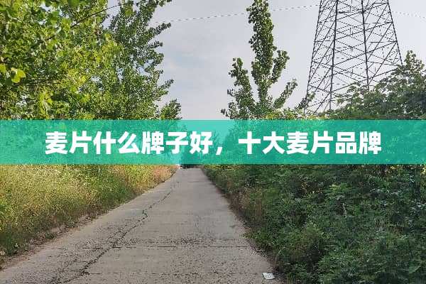 麦片什么牌子好，十大麦片品牌