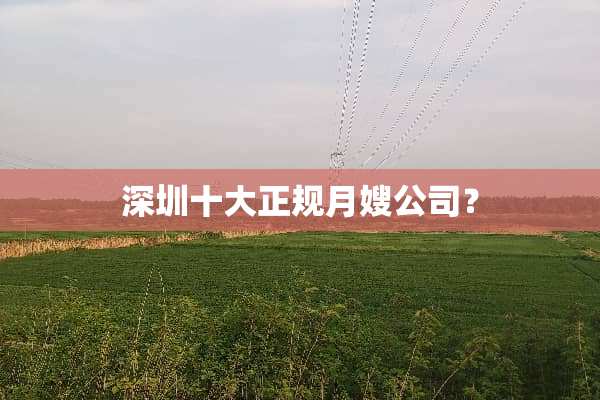 深圳十大正规月嫂公司？