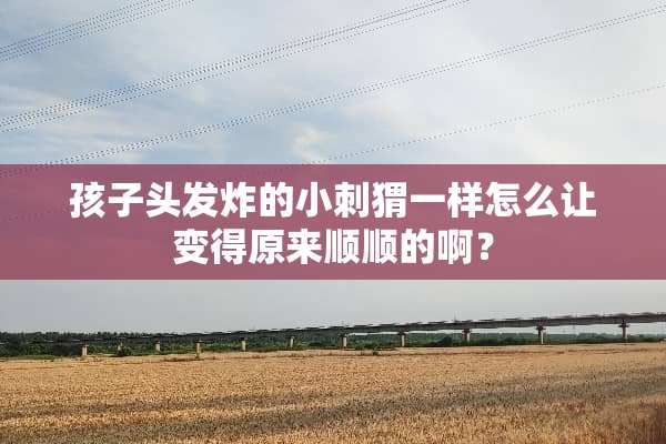 孩子头发炸的小刺猬一样怎么让变得原来顺顺的啊？