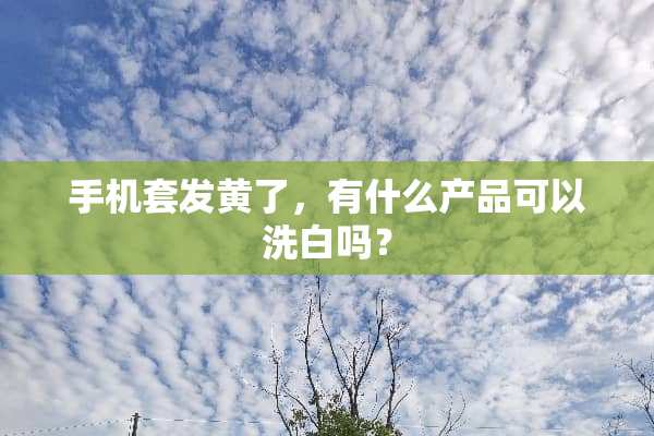 手机套发黄了，有什么产品可以洗白吗？