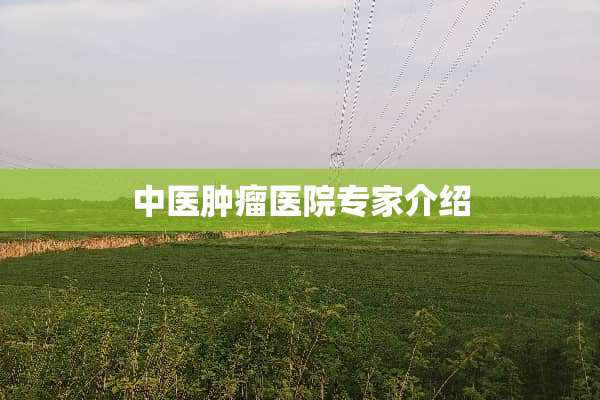 中医肿瘤医院专家介绍