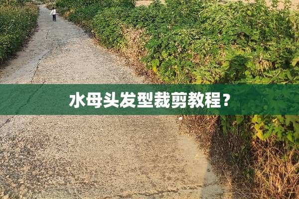 水母头发型裁剪教程？