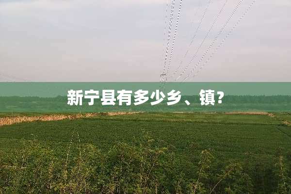 新宁县有多少乡、镇？