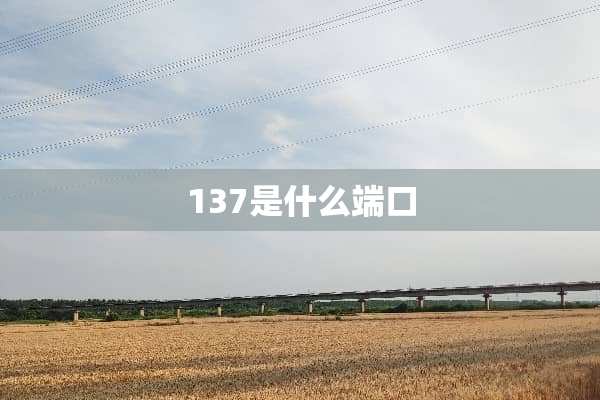 137是什么端口