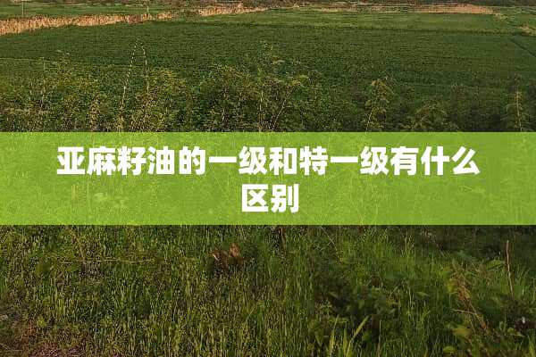 亚麻籽油的一级和特一级有什么区别