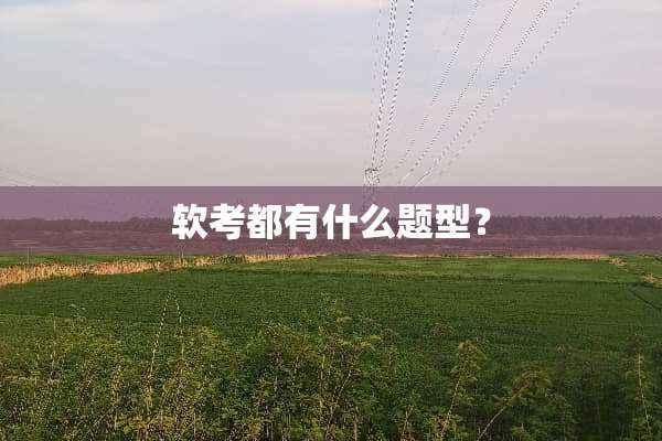 软考都有什么题型？