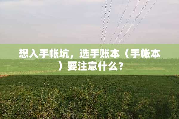 想入手帐坑，选手账本（手帐本）要注意什么？
