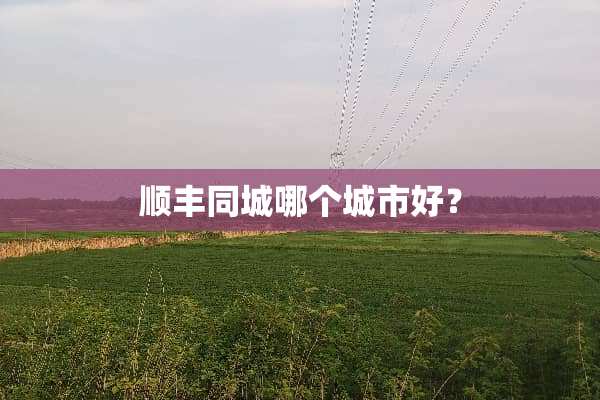 顺丰同城哪个城市好？