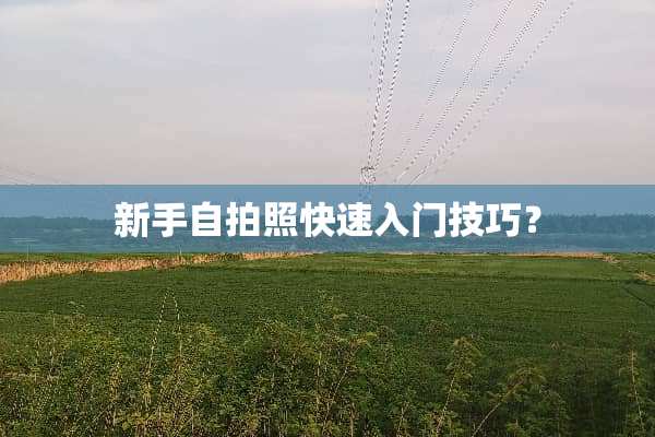 新手**照快速入门技巧？