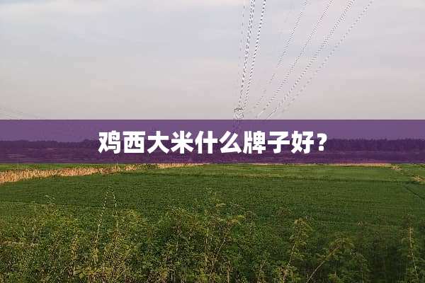 鸡西大米什么牌子好？