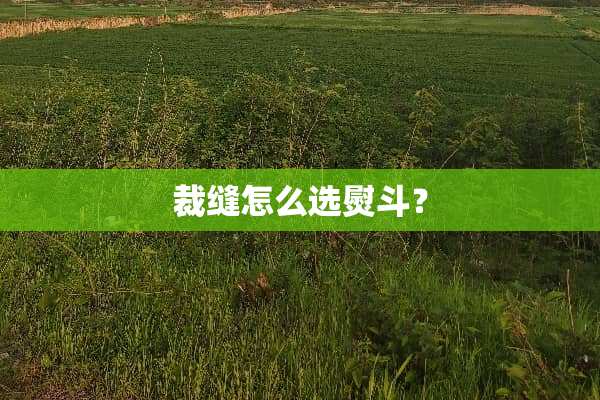 裁缝怎么选熨斗？
