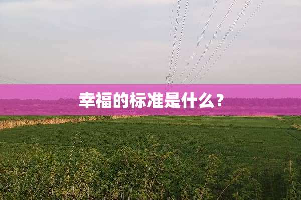 幸福的标准是什么？