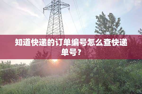 知道快递的订单编号怎么查快递单号？