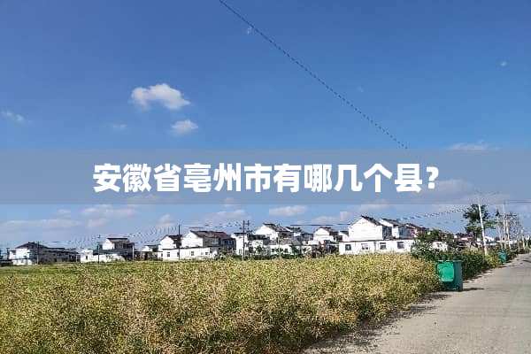 安徽省亳州市有哪几个县？