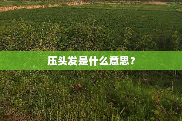 压头发是什么意思？