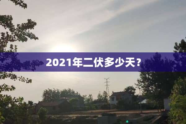 2021年二伏多少天？