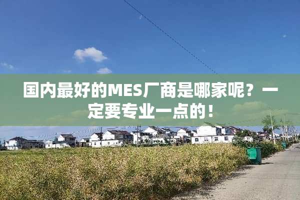 国内最好的MES厂商是哪家呢？一定要专业一点的！