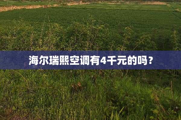 海尔瑞熙空调有4千元的吗？