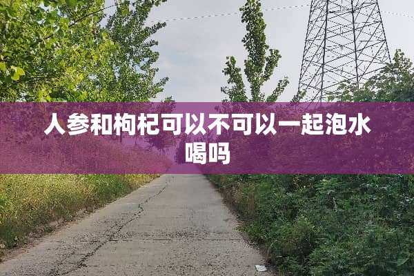 人参和枸杞可以不可以一起泡水喝吗