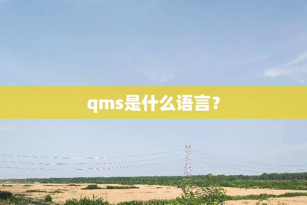qms是什么语言？